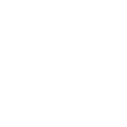 PolyVibe Logo